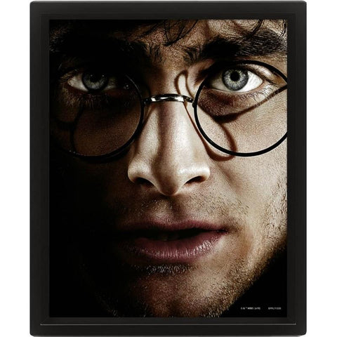 Poster - Harry Potter " Harry vs Voldemort " 3D Lenticular Poster 26x20cm