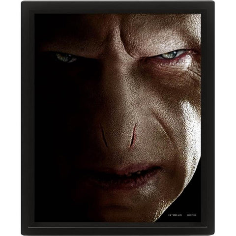 Poster - Harry Potter " Harry vs Voldemort " 3D Lenticular Poster 26x20cm