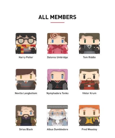 Pop Mart - Harry Potter " Cube 1 "